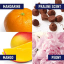 Top left: A whole mandarine orange with the label "MANDARINE".
Top right: Several chocolate pralines with the label "PRALINE SCENT".
Bottom left: A whole mango and a sliced mango piece with the label "MANGO".
Bottom right: Pink peony flowers with the label "PEONY" | BEAUTE KNOWS AUSTRALIA