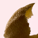 Close-up of a Bergamot peel with focus on texture with a light pink background