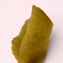 Close-up of a textured green leaf on a white background