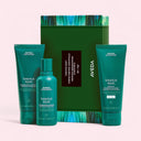 Aveda botanical repair product set with a green box on a light pink background