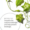Aveda Botanical Repair™ Day & Night Strengthening Treatments Set
