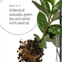 Aveda Botanical Repair™ Day & Night Strengthening Treatments Set