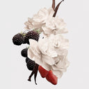 Arrangement of white flowers, blackberries, and strawberries on a light gray background