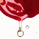 Red camellia with a droplet of water/oil  on a white background