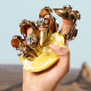 Dolce & Gabbana Q Eau de Parfum 100ml