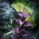 Davidoff Champion Eau de Toilette 90ml