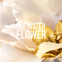 Dior J'adore Parfum D'Eau Eau de Parfum 50ml