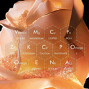 Dior Prestige La Crème 50ml