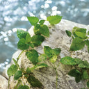 Dolce & Gabbana Light Blue Pour Homme Eau de Toilette 125ml