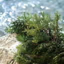 Dolce & Gabbana Light Blue Pour Homme Eau de Toilette 125ml