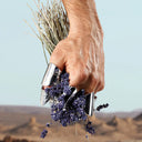 Hand wearing rings holding a bouquet of lavender with a blurred landscape in the background
