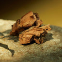 Gucci Mémoire D’Une Odeur Eau de Parfum 100ml