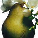 English pear with white freesia flowers on a white background