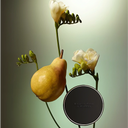 English pear with white freesia flowers and Jo Malone London English Pear & Freesia Scent To Go diffuser on a gradient background