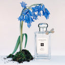 BEAUTE KNOWS Jo Malone London Wild Bluebell Cologne 100ml bottle with a bluebell flower on a white background