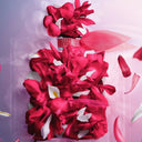 Lancôme La Vie Est Belle Intensément Eau de Parfum 100ml