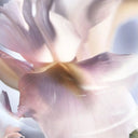 Lancôme La Vie Est Belle Iris Absolu Eau de Parfum 50ml