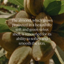 L'occitane Almond Hand Cream 150ml