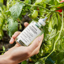 Maison Margiela Replica From the Garden Eau de Toilette 100ml