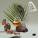 Decorative still life with a glass of amber liquid, peacock feather, butterfly, and natural elements on a light background.
