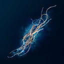 Prada Luna Rossa Ocean Eau De Toilette 100ml Gift Set