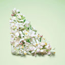Prada Paradoxe Virtual Flower Eau De Parfum 50ml Gift Set