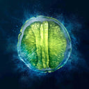 cut open green fruit with a dark blue background