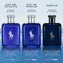 Three Ralph Lauren blue perfume bottles with silver caps on a light blue background, labeled for different types of perfumes.
