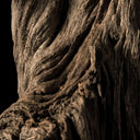 Close-up of a textured oud surface with intricate patterns