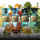 BEAUTE KNOWS Four bottles of Tom Ford eau de parfum with text of each of their scent profiles, floral and citrus elements on a white background.