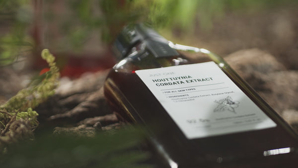 BOM JUST ONE EXTRACTS