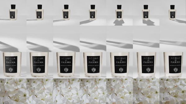 Video of Acqua Di Parma Signatures of the Sun Magnolia Infinita Eau de Parfum 100ml | BEAUTE KNOWS AUSTRALIA